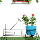 Untitled design (92)