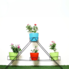 Untitled design (94)