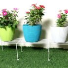 WhatsApp Image 2025-06-29 at 5.37.06 AM