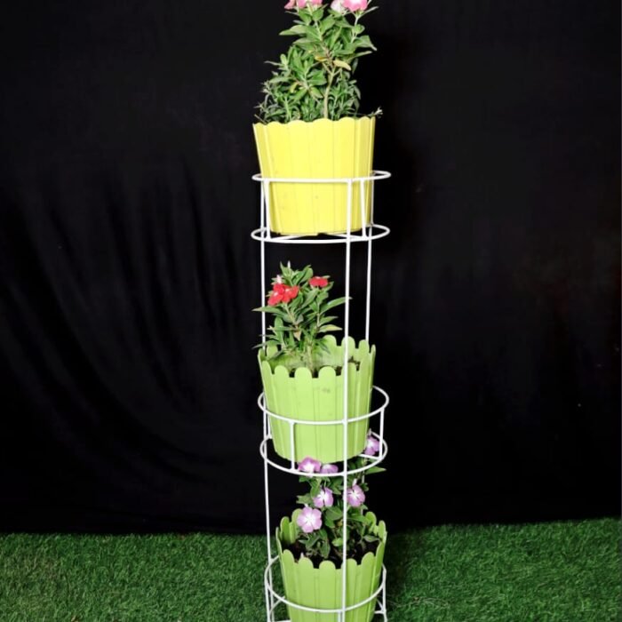 WhatsApp Image 2025-06-29 at 5.37.12 AM