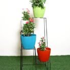 WhatsApp Image 2025-06-29 at 5.37.16 AM