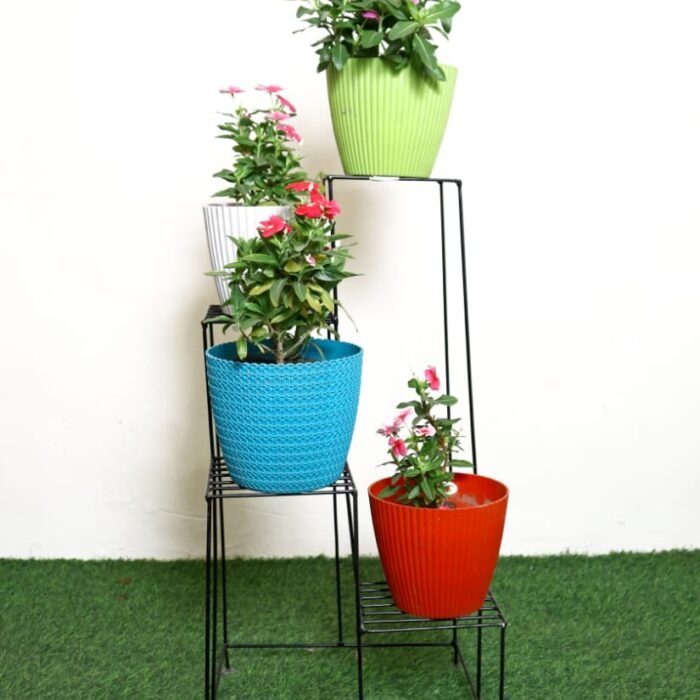 WhatsApp Image 2025-06-29 at 5.37.16 AM