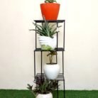 WhatsApp Image 2025-06-29 at 5.37.20 AM (2)