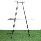 WhatsApp Image 2025-06-29 at 5.37.25 AM