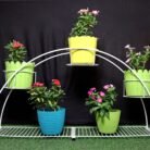 WhatsApp Image 2025-06-29 at 5.37.27 AM