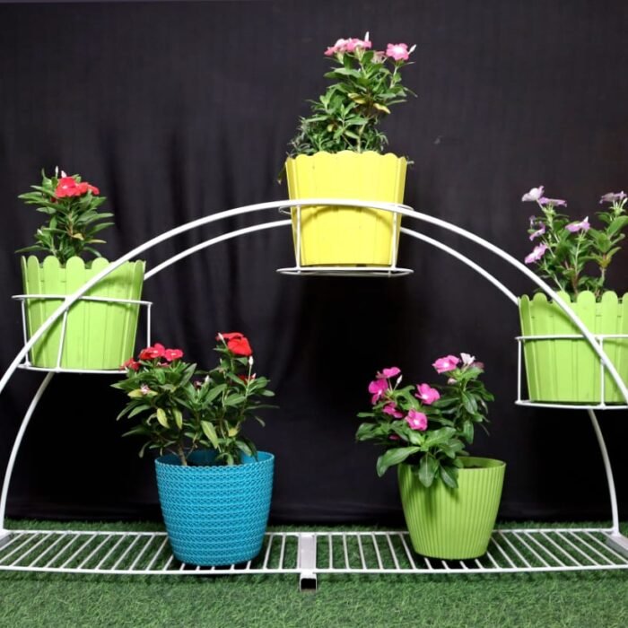 WhatsApp Image 2025-06-29 at 5.37.27 AM